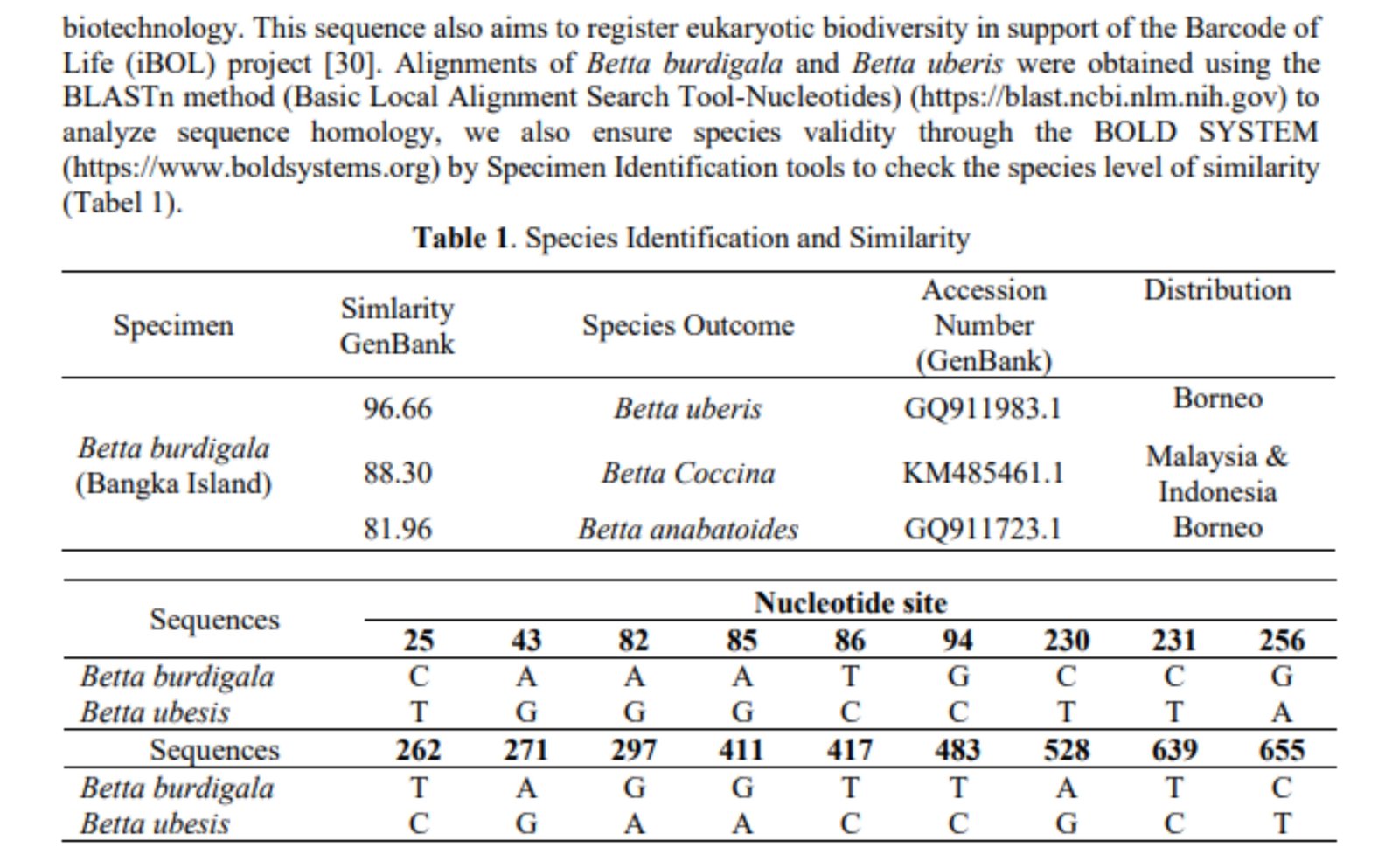 Hubungan Genetik Betta burdigala dan Betta uberis Berdasarkan Gen COI