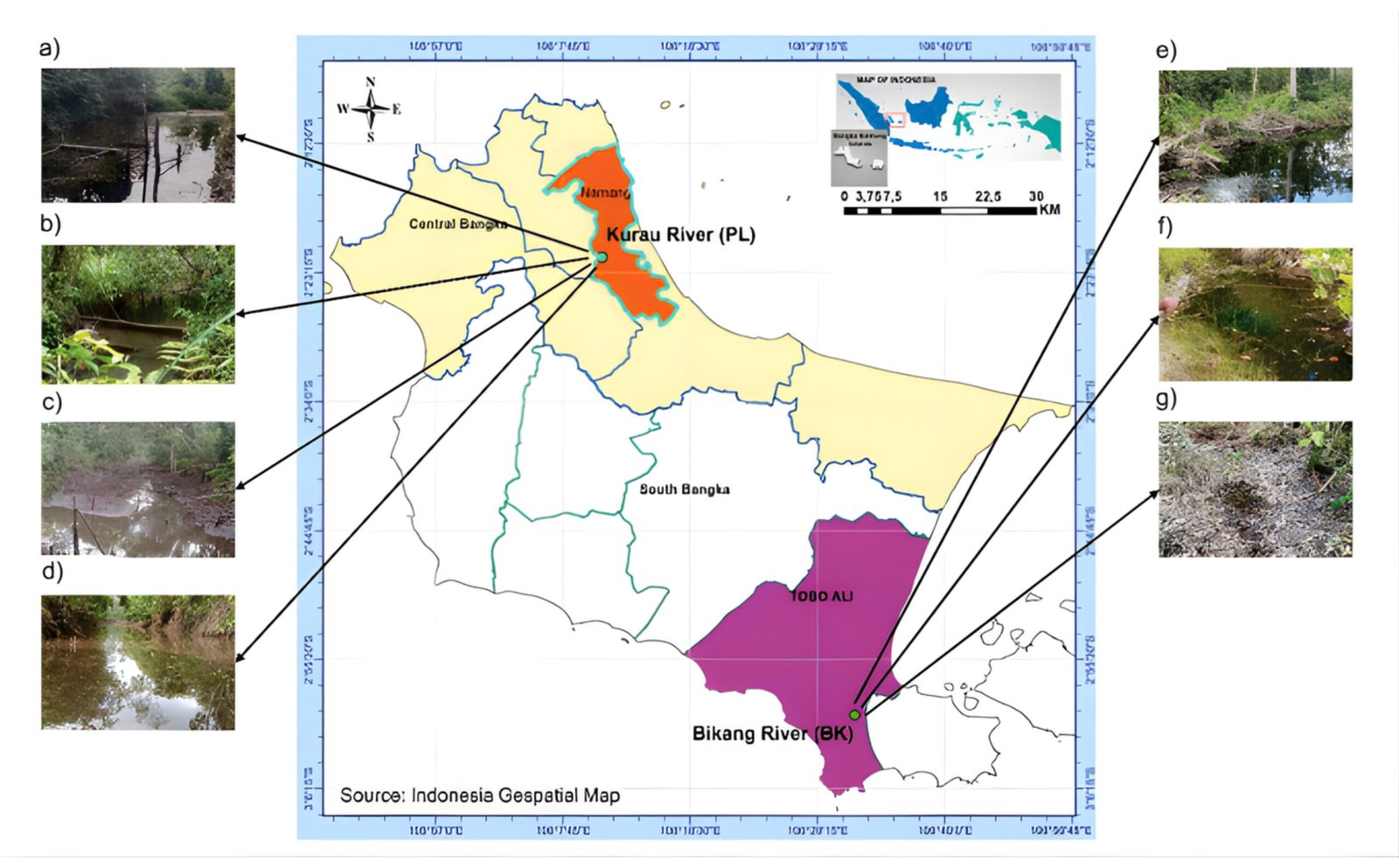 Keanekaragaman Ikan Floodplain Bangka Berbasis eDNA dan Metode Konvensional